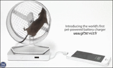 Humor -  Fun Animals Hamster 01 