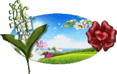 Messages Allemand 1. Mai Schönen 