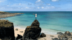 Umorismo -  Fun GIF Artista @Eclectech 