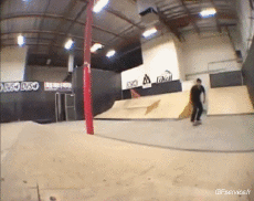 Humor -  Fun Sport Skateboard Free Style Fun - Win 02 