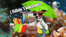 Nachrichten Spanisch Felices Vacaciones Animierter Hintergrund 006 