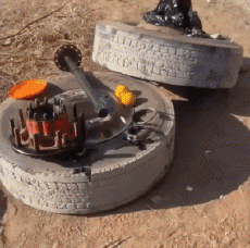 Umorismo -  Fun Animali Elefanti 01 