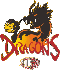 Deportes Baloncesto China Jiangsu Dragons 