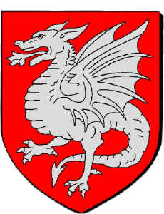 Banderas Francia Departamentos - Ciudades 83 DRAGUIGNAN 