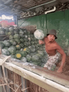 Humor - Fun GENTE En el trabajo Fun - Win 03 