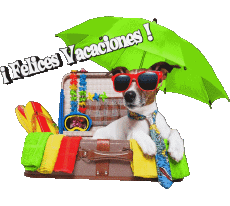 Nachrichten Spanisch Felices Vacaciones 11 