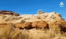 Humor -  Fun Sports Mountain biking Fun - Win 