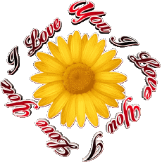 Messages English I Love You 02 