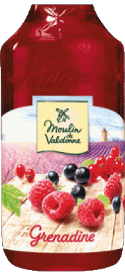 Bebidas Jarabe Moulin de Valdonne 