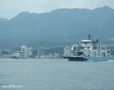 Humour - Fun 3D Effets Stéreoscopique Wiggle 