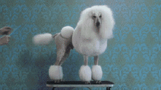 Multi Media Channels - TV France Numéro 23 Jingle Pub 