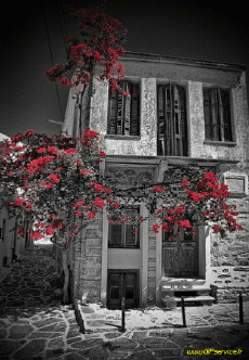 Humor - Fun Efectos 3d Stéreoscopique Wiggle avec Matrice 