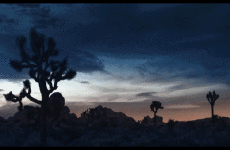 Moda Couture - Profumo Christian Dior 