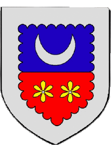 Blasón-Banderas Francia Departamentos - Ciudades 976 Mayotte Blasón