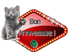 Nachrichten Französisch Bon Anniversaire Animaux 004 