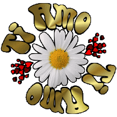 Messages Italian Ti Amo 04 