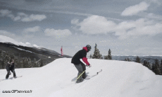 Humor -  Fun Sports Ski Free Style Fun Win 