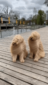 Humour - Fun Lieux - Nature Vent 