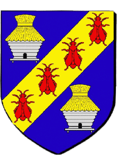 Wappen-Fahnen Frankreich Abteilungen - Städte 80 SALOUEL Wappen