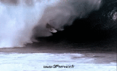 Humour - Fun Sports Surf Fun - Win 