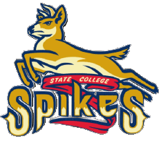 Sport Baseball U.S.A - New York-Penn League State College Spikes 