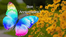 Messages French Bon Anniversaire Papillons Animated Background 004 
