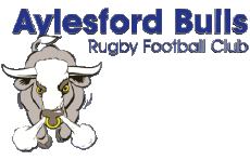 Sports Rugby Club Monde Logo Angleterre A Aylesford Bulls Girls RFC 