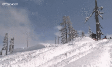 Humour - Fun Transports Motoneige Fun - Win 