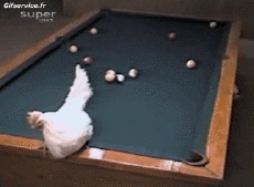 Humor -  Fun Sport Billard Fun & Fail Serie 01 