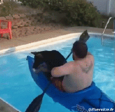 Humor -  Fun Sports Canoe Kayak Falls - Fail 