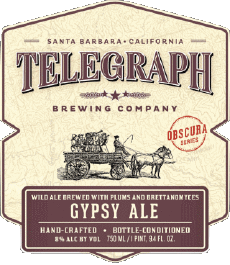 Gypsy ale-Boissons Bières USA Telegraph Brewing 