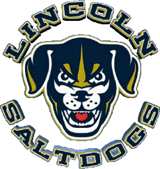Sports Baseball U.S.A - A A B Lincoln Saltdogs 
