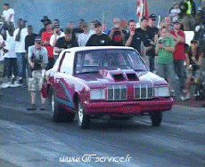 Humor - Fun Transporte Coches Wheeling Car 