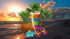 Messages Spanish Felices Vacaciones Animated Background 004 