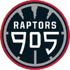 Sports Basketball U.S.A - N B A Gatorade Raptors 905 