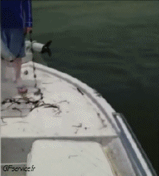 Humor -  Fun PEOPLE Fishermen Fun Fail 