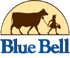 Food Ice cream Blue Bell Creameries 
