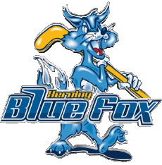Sports Hockey - Clubs Danemark Herning Blue Fox 