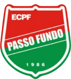 Sports FootBall Club Amériques Logo Brésil Rio Grande do Sul Esporte Clube Passo Fundo 