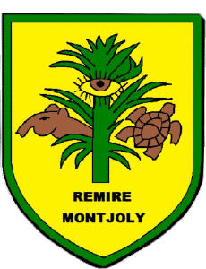 Drapeaux France Départements - Villes 973 REMIRE MONTJOLY 