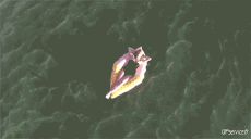 Humor -  Fun Places Por el mar 