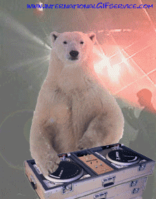 Umorismo -  Fun Animali Orso 01 