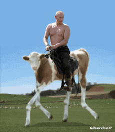 Humour - Fun PERSONNAGES Politique - International Vladimir Poutine 