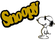 Multi Media Comic Strip - USA Snoopy 