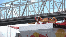 Humor -  Fun MENSCHEN Red Bull Challenge Flugtag Cincinati 