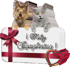 Nachrichten Spanisch Feliz Cumpleaños Animales 005 