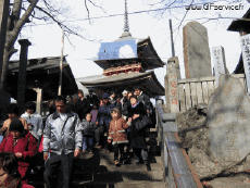 Humor -  Fun 3d Effects Stéreoscopique Wiggle 