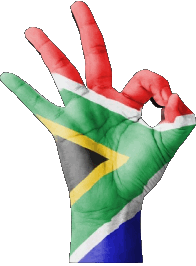 Banderas África Africa del Sur Diverso 