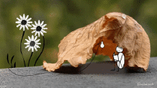 Humor - Fun GIF Artista @Eclectech 