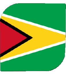 Drapeaux Amériques Guyana Carré 